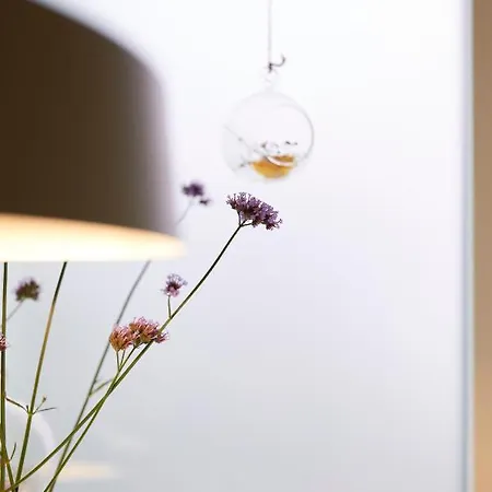 Rotes Haus Garten Bregenz