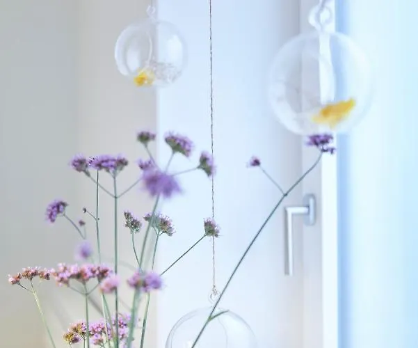 Appartement Rotes Haus Garten Bregenz